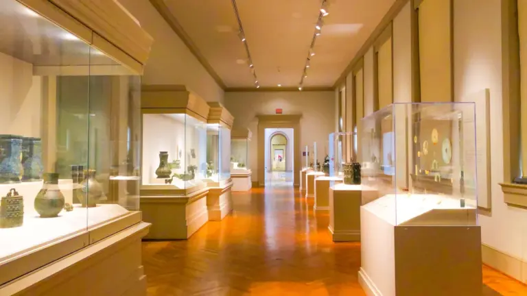 Draguignan : l’archéologie s’installe au musée pour trois ans